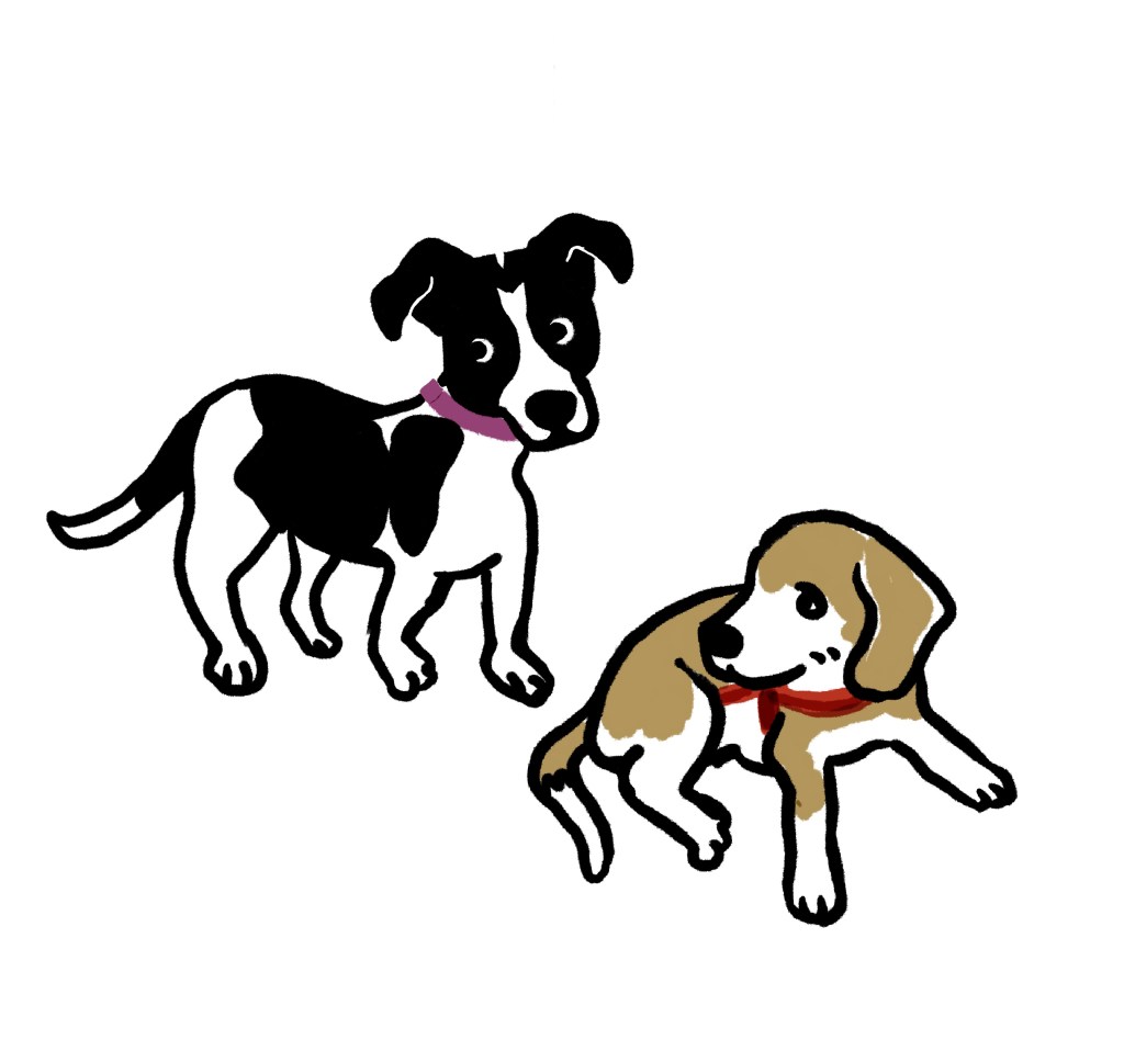 Mel e Floquinha. 2/8/25.